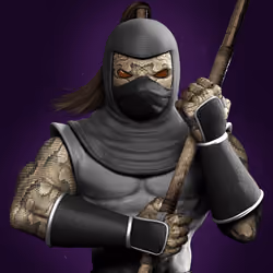 Ancient Ninja #5031