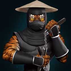 Ancient Ninja #5034