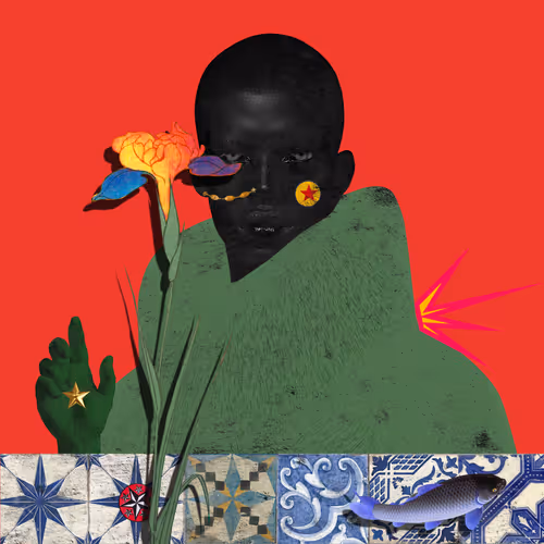 Tried 7 times for 365 days