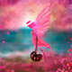 Pink wings