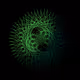 86