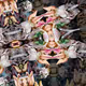 milkweeds