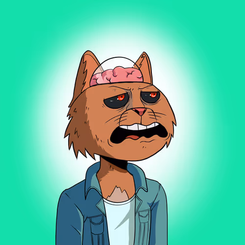 Cool Cat Yacht Club