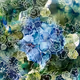 Apricot Blossom Design