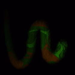 Squiggles by Damers #1069