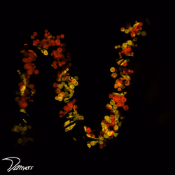 Squiggles by Damers #1342