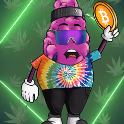 Nugg #4