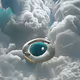 113