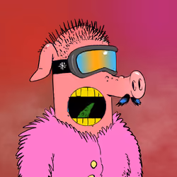 RAVE PIGS #5722