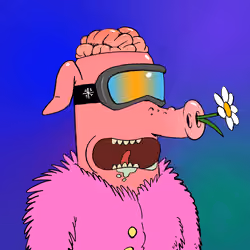 RAVE PIGS #1060