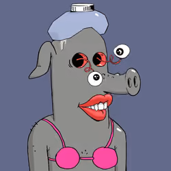 RAVE PIGS #5908