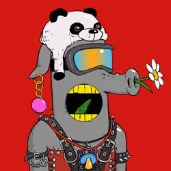 RAVE PIGS #4935