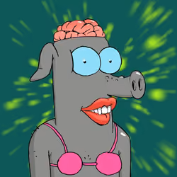 RAVE PIGS #617
