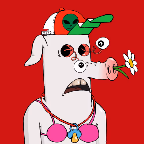 Rave Pigs