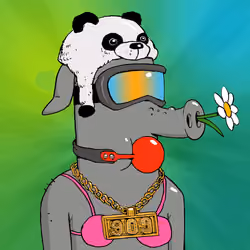 RAVE PIGS #4698