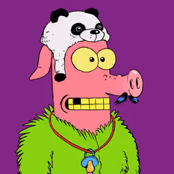 RAVE PIGS #5681