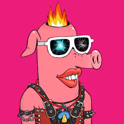 RAVE PIGS #333