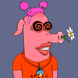 RAVE PIGS #5936