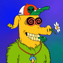 RAVE PIGS #5980