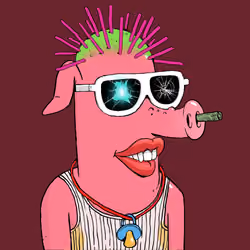 RAVE PIGS #5062