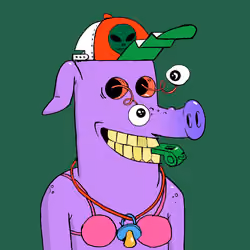 RAVE PIGS #5923