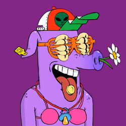 RAVE PIGS #5679
