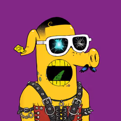 RAVE PIGS #5144