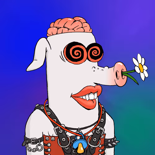 Rave Pigs