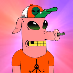 RAVE PIGS #6012