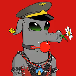 RAVE PIGS #177