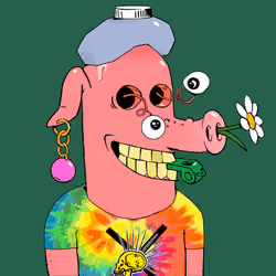 RAVE PIGS #4581
