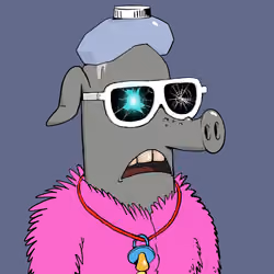 RAVE PIGS #5879