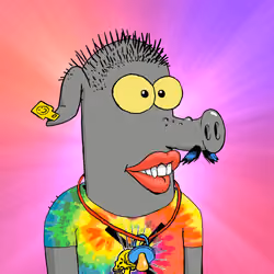 RAVE PIGS #507