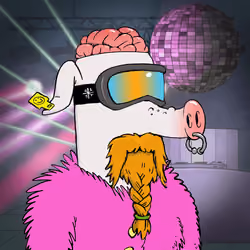 RAVE PIGS #4554