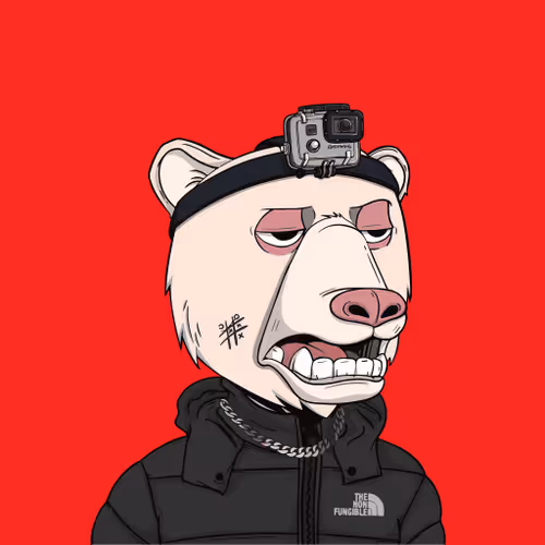 Toonzokaybears