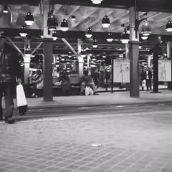 The Platform’s Pulse
