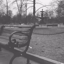 Bench in the Long Season