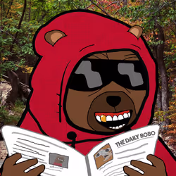 Bobo Council #499