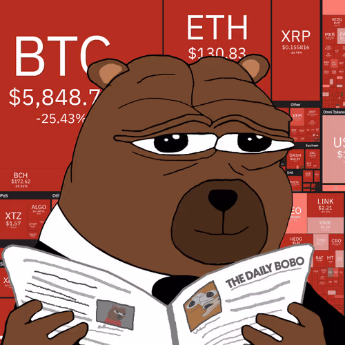 Bobo Council #581