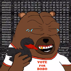 Bobo Council #1301