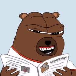 Bobo Council #364