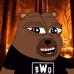 Bobo Council #48