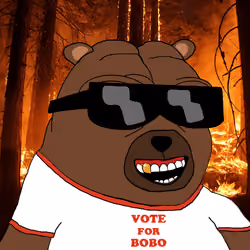 Bobo Council #1300