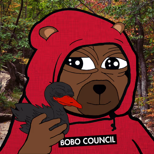 Bobocouncil