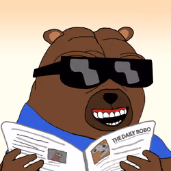 Bobo Council #292