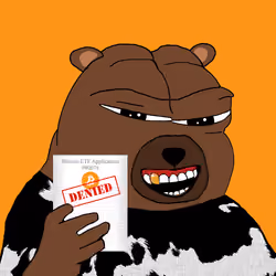 Bobo Council #919