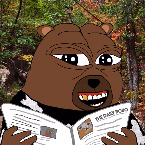Bobocouncil