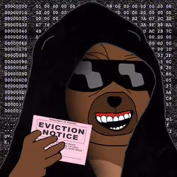 Bobo Council #262