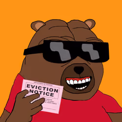 Bobo Council #799
