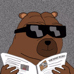 Bobo Council #1482